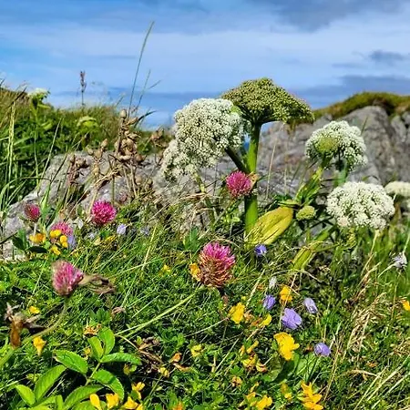 Haramsoy One Night Glamping- Island Life North- Overnight In A Tent Set Up In Nature- Perfect To Get To Know Norwegian Friluftsliv- Enjoy A Little Glamorous Adventure *